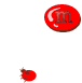coccinello ama m.gif